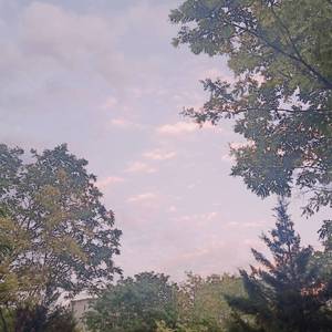 黑人男女交配一区
